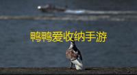 鸭鸭爱收纳手游